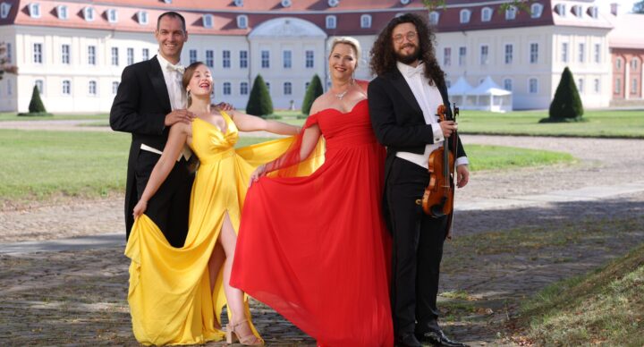 TICKETS FÜR DIE SHOWS
